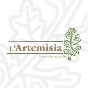 L'Artemisia