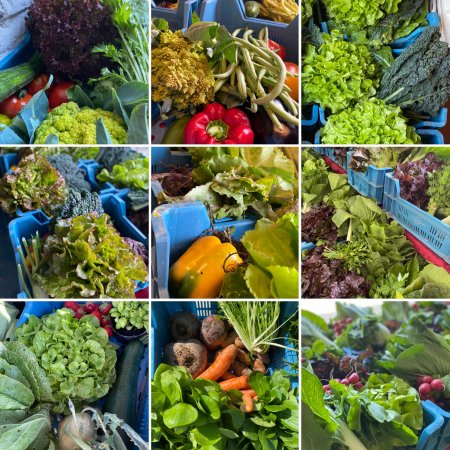 Micro marché de légumes et de fruits chaque vendredi