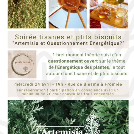 Soirée tisanes et ptit biscuits : « L’Artemisia - Questionnement Energétique ? »