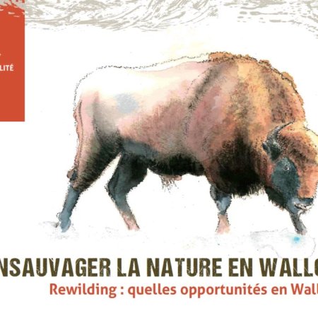 Visite commentée de l’exposition REWILDING par Sébastien Lezaca 